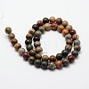 Natural Polychrome Jasper/Picasso Stone/Picasso Jasper Bead Strands G-O155-02A-6mm-2