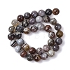 Natural Botswana Agate Beads Strands G-G453-B01-10mm-3
