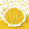 FGB Imitation Jade Colours Glass Seed Beads SEED-Q040-07A-C03-2