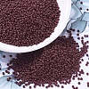 MIYUKI Round Rocailles Beads SEED-X0054-RR0419-1