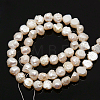 Natural Cultured Freshwater Pearl Beads Strands PEAR-N002-04-2