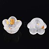 Frosted Transparent Acrylic Beads X-OACR-N137-72A-3