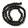 Natural Golden Sheen Obsidian Beads Strands G-E571-A01-01-3