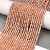 Natural Peach Moonstone Beads Strands G-H003-E10-01-2