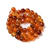 Dyed & Heated Natural Agate Beads Strands G-P539-D01-07-3