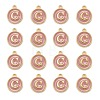 Golden Plated Alloy Enamel Charms ENAM-S118-07C-2