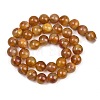 Handmade Lampwork Beads Strand LAMP-B056-10mm-05-3