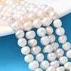 Natural Cultured Pearl Beads Strands PEAR-I007-07R-02A-1