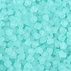 FGB Frosted Transparent Glass Seed Beads SEED-N013-03A-10-3