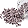 TOHO 6/0 Round Beads SEED-XTR06-0412F-1