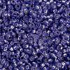 MIYUKI Round Rocailles Beads X-SEED-G009-RR0649-4