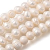 Natural Cultured Freshwater Pearl Beads Strands PEAR-L001-F-08-7