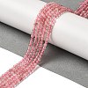 Natural Strawberry Quartz Beads Strands G-B090-A26-03-2