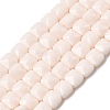 Opaque Glass Beads Strands LS-GLAA-L050-C20-1