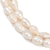 Natural Cultured Freshwater Pearl Beads Strands PEAR-P064-20J-01A-4