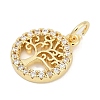 Brass Micro Pave Clear Cubic Zirconia Charms KK-G522-46G-3