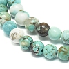 Natural Howlite Beads Strands G-L555-02-6mm-4