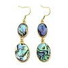 Brass Natural Abalone Shell Dangle Earrings EJEW-F388-01A-G-4