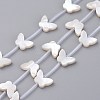 Natural White Shell Mother of Pearl Shell Beads SSHEL-L018-013-1