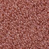 MIYUKI Round Rocailles Beads X-SEED-G007-RR3507-3