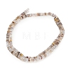 Natural Botswana Agate Beads Strands GG-CBA2498-C06-01-5