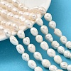 Natural Cultured Freshwater Pearl Beads Strands PEAR-I007-01F-01A-1