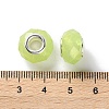 Pearlized Resin European Beads RESI-M001-01F-3