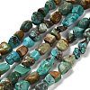 Natural HuBei Turquoise Beads Strands X-G-P497-01E-19-1