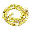 Natural Freshwater Shell Beads Strands SHEL-S276-110A-M-2