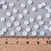 Frosted Glass Seed Beads SEED-N012-01B-4