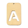304 Stainless Steel Pendants STAS-D200-01A-G-1