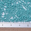 MIYUKI Round Rocailles Beads SEED-X0054-RR2029-4