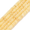 Natural Freshwater Shell Beads Strands SHEL-Q028-01B-1