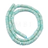 Natural Amazonite Beads Strands G-K245-C04-02-2