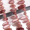 Natural Strawberry Quartz Beads Strands G-Z091-A25-1