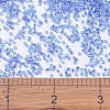 MIYUKI Delica Beads SEED-X0054-DB1250-4