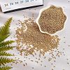 FGB 12/0 Round Glass Seed Beads SEED-OL0001-08A-02-7