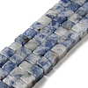 Natural Blue Spot Jasper Beads Strands G-C129-A03-01-1