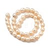 Natural Cultured Freshwater Pearl Beads Strands PEAR-I007-01E-05B-3