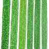 Electroplate Glass Beads Strands EGLA-A044-T4mm-A11-2