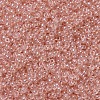 MIYUKI Round Rocailles Beads SEED-JP0008-RR0369-3