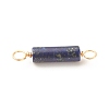 Natural Lapis Lazuli Connector Charms PALLOY-JF01565-04-3