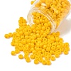 TOHO 3/0 Round Beads SEED-XTR03-0042B-1