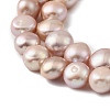 Natural Cultured Freshwater Pearl Beads Strands PEAR-P064-19I-03C-4