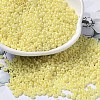 Baking Paint Glass Seed Beads SEED-P006-03A-15-1