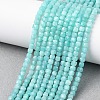 Natural Amazonite Beads Strands X-G-K366-H01-4mm-1