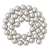 Shell Pearl Beads Strands BSHE-TA0002-03A-10mm-1
