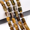 Natural Tiger Quartz Beads Strands G-Q608-25-1