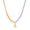 Rainbow Gradient Glass Seed Beaded Necklaces AF2375-1-1