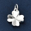 925 Sterling Silver Charms FIND-Z069-04S-C-2